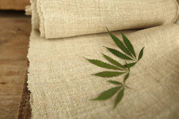 Fabric Made From Hemp . Cannabis Fiber And Leaf