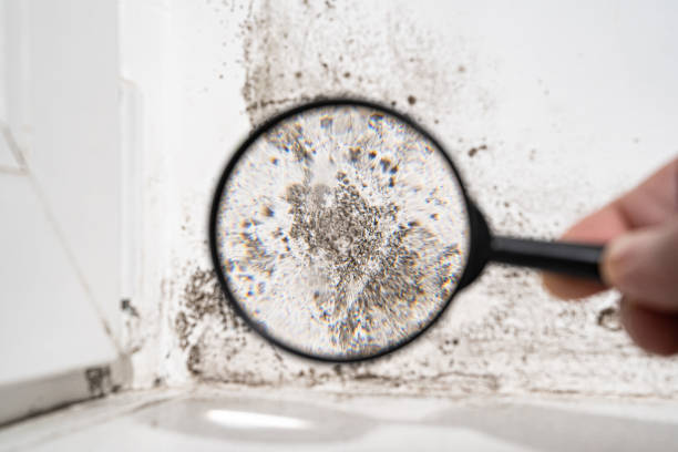 Istockphoto 1304694347 612x612